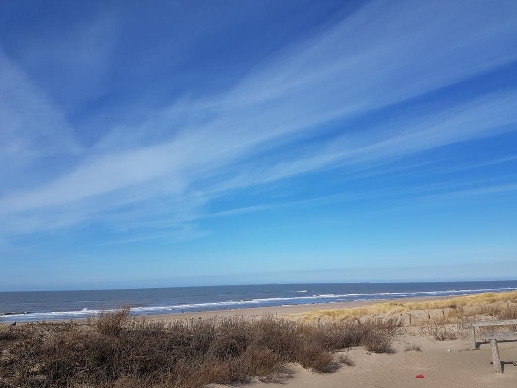B&B Beach Inn デン・ハーグ エクステリア 写真